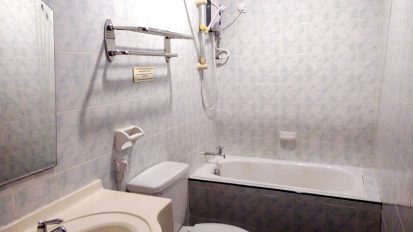 Large Room Toilet