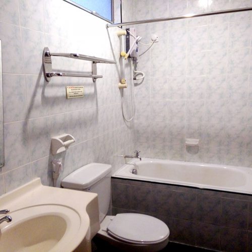Large Room Toilet