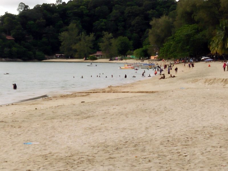 jungle-tracking-activity-and-afternoon-tea-at-beach-cafe-teluk-batik-04