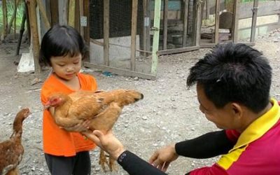 Family Day-Gunung Rapat-04