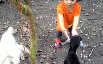 Family Day-Gunung Rapat-05