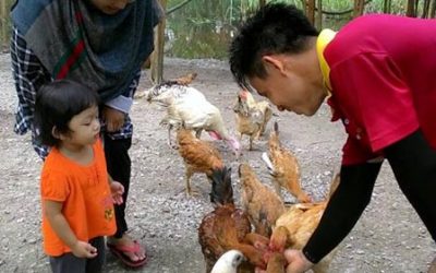 Family Day-Gunung Rapat-06