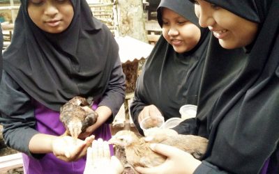 Egotic Park-Teluk Batik Resort-Sk Permatang Buloh-01