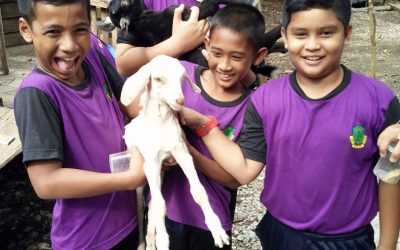 Egotic Park-Teluk Batik Resort-Sk Permatang Buloh-02