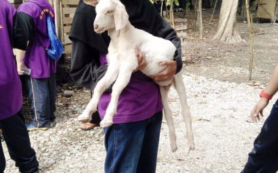 Egotic Park-Teluk Batik Resort-Sk Permatang Buloh-03