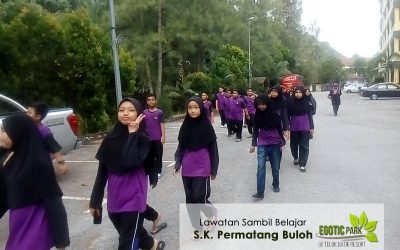 Egotic Park-Teluk Batik Resort-Sk Permatang Buloh-06