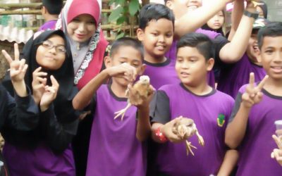 Egotic Park-Teluk Batik Resort-Sk Permatang Buloh-10