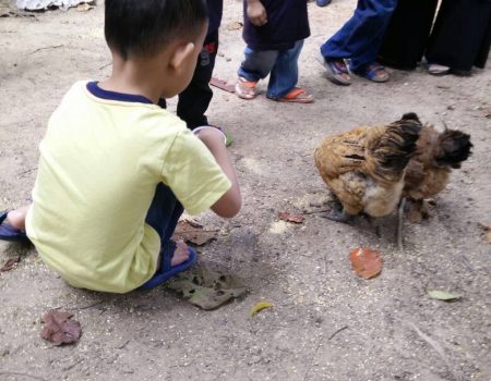 Reunion-Diploma in Building 2003-2006-05