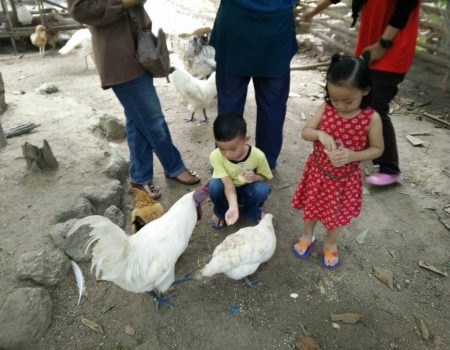 Reunion-Diploma in Building 2003-2006-12