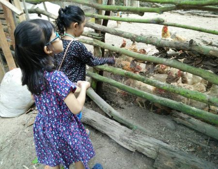 Reunion-Diploma in Building 2003-2006-13