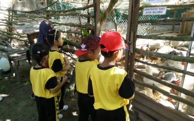 School Trip-Tabika Kemas Kg.Kayan-06