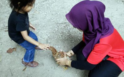 Starule 17-Company Trip-03