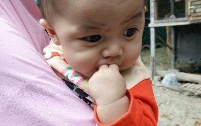 Starule 17-Company Trip-10